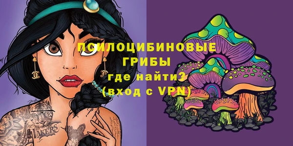 MDMA Premium VHQ Аркадак