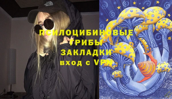 прущая мука Армянск