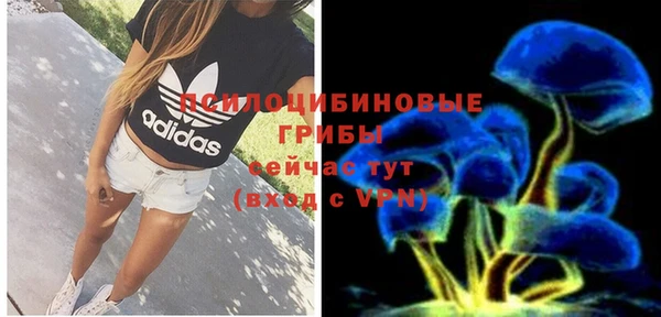 прущая мука Армянск